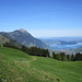 bei P1198 wird erstmals der Blick nach Norden frei
