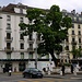 Genève (380m)  - Rue des Alpes.