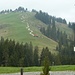 die Sommerattraktion auf der Marbachegg (mit Dreirad-Gefährten auf der Holzpiste talwärts flitzen)