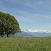 Vue sur le lac de Thoune et les Alpes bernoises depuis le monument Tavel