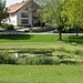 Teich mitten in Rosenau