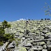 die Felstrümmerlandschaft am Gipfel- die Grünfärbung durch Flechten gibt dem Lusengipfel sein charakteristisches Aussehen
