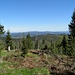 Böhmerwald
