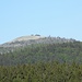 Rückblick zum Lusen