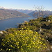 La parte del Lago Maggiore verso la Svizzera