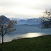 der eine noch mit, der andere Baum bereits ohne Laub: Idylle ob Ober Fromattberg