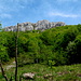 attraversando verso i piani d'Erna