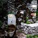 fontana Kopp in discesa poco prima del rifugio Azzoni
