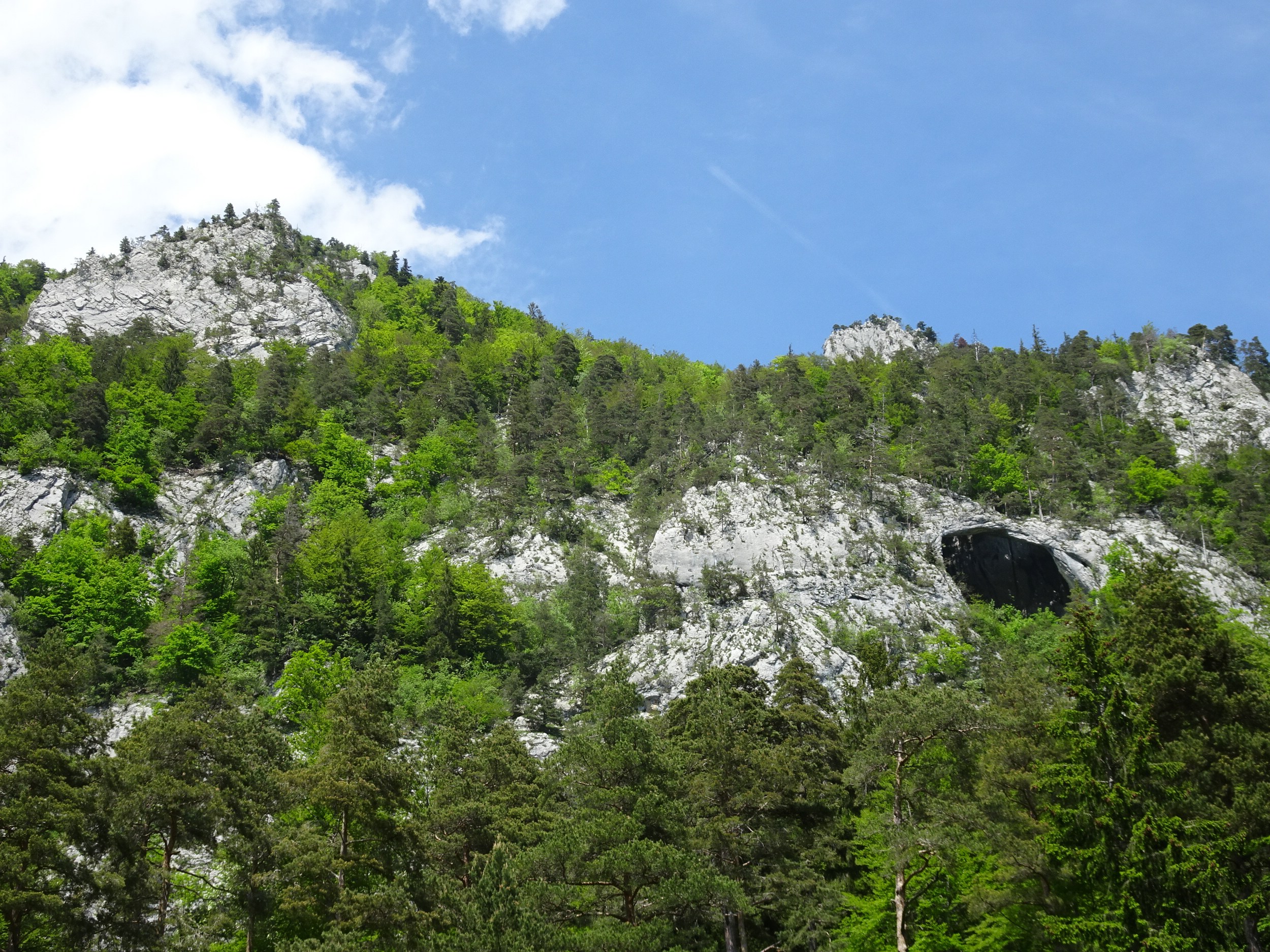 Nochmals das Bärenloch Fotos