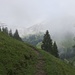 Beim P.1428m oberhalb L'Etivaz hörte es endlich auf zu Regnen. Dennoch blieb der Nebel an den feuchten Bergflanken hangen.