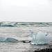 Die Eisberge treiben in den Nordatlantik