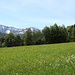 Blick nach Süden auf den Blaubergkamm vom Startpunkt an den Hirschbergliften in Scharling (760 m)