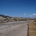 Salt Creek