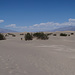 Mesquite Flat Sand Dunes