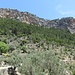 Olivenkulturen, Waldgürtel, Felswände - und Gipfelhaus (mit Wasserzufuhr über den Steilabbruch, unmittelbar links davon)