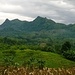   Overview from the road to Lake Sebu,South Cotabato,Mindanao.
