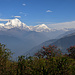 Dhaulagiri (8167m)