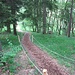 gepflegte Wege im Naturschutzgebiet Tannbüel