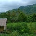 Inside the forest Maitum,Sarangani,Mindanao.