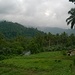 Inside the forest Maitum,Sarangani,Mindanao.