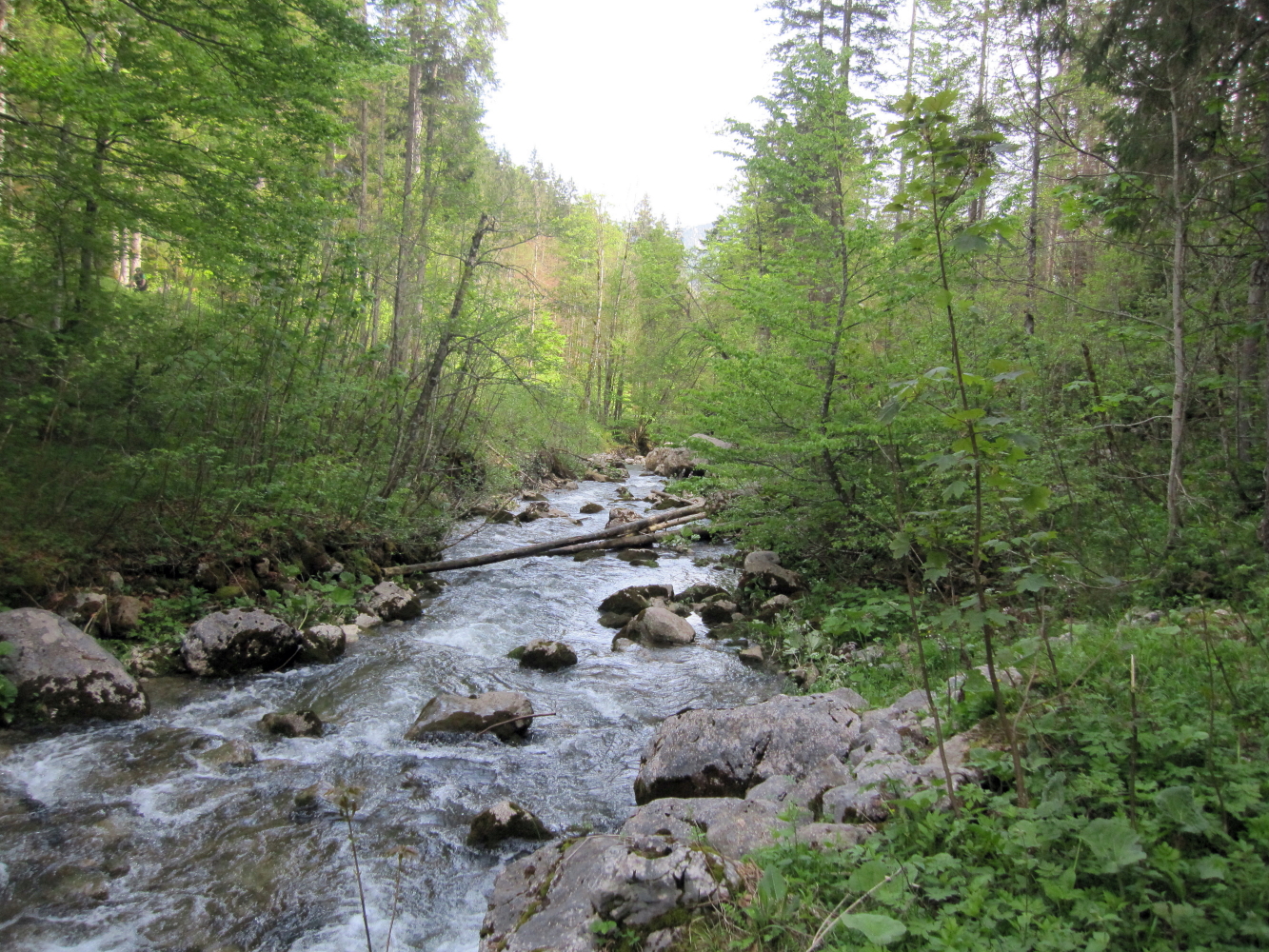 Abstieg durch das Schwarzenbachtal Fotos