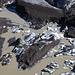 Am Svínafellsjökull - Gletscherzunge trifft Gletschersee, #2.