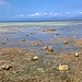 Susan Beach,Maasim,Sarangani,Mindanao.