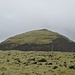auf der Fahrt nach Dyrholaey: moosbedeckte Lavasteine und ein riesiger Monolith