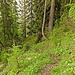 Über Jagdsteige auf den Buchbergkogel