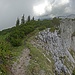 Steig von der Häuselalm