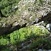 Sur le pont du Bärenloch