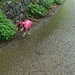 Suni.....sconsolata.......non sembra molto convinta......