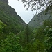 la valle dietro di noi