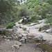 funktionelle "Brücke" übers Bächlein