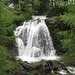 acqua  ...il tema del giorno!