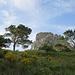 reizvolle Landschaft