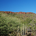 Das Plateau des Kleinen Waterberg
