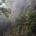 Der Omoto-Course ist wilder als der Aufstieg und führt auch entlang von schönen Felswänden.