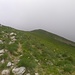begrüntes Gelände am Grat zum Gipfel (immer noch nicht zu erkennen)