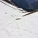 Abstieg von Rotärd: hier ist der Schnee für einmal nützlich