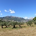 trockene, schöne Serra de Tramuntana - mit Ausblick zu Massanella und Puig Major