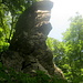 Leider sehr gegenlichtig um diese Tageszeit : der Hohestein ist ein schmales 20m hohes imposantes Felsriff.
