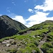 il Togano