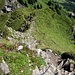 Mit Kette gesicherte Steilstufe zwischen Zindlenspitz und Rossalpelispitz; wird im Abstieg bewältigt