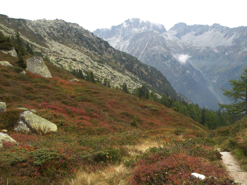 Herbstliche Farben auf dem Hüttenweg - Fotos [hikr.org]