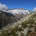 Blick zum Sustenhorn und zum kleinen Resten der "Gletscher"