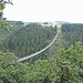 Hängeseilbrücke Geierlay im Überblick