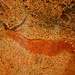 Neu entdeckte Höhlenmalerei am Brandberg