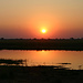 Sunset am Chobe