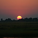Ein afrikanischer Sonnenuntergang